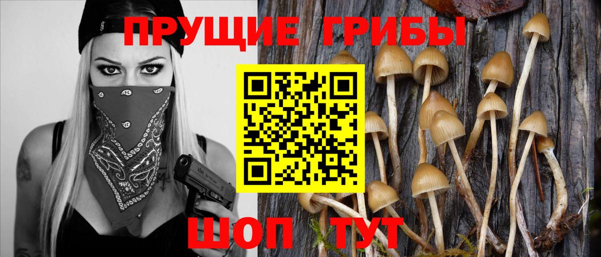 сколько стоит  Псилоцибиновые грибы Magic Shrooms  Истра  Вход с VPN  Галлюциногенные грибы Magic Shrooms 