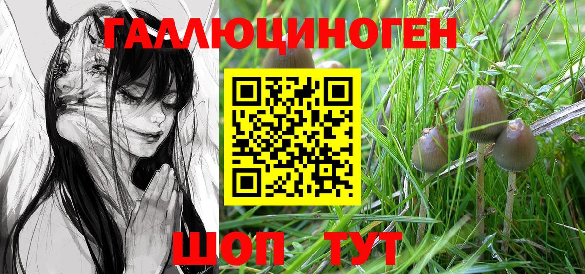Галлюциногенные грибы мицелий Истра